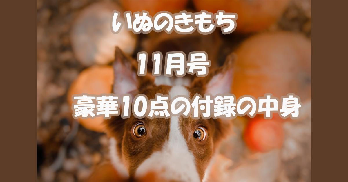 いぬのきもち11月号　付録